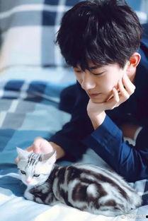 娱乐吃瓜猫吴磊